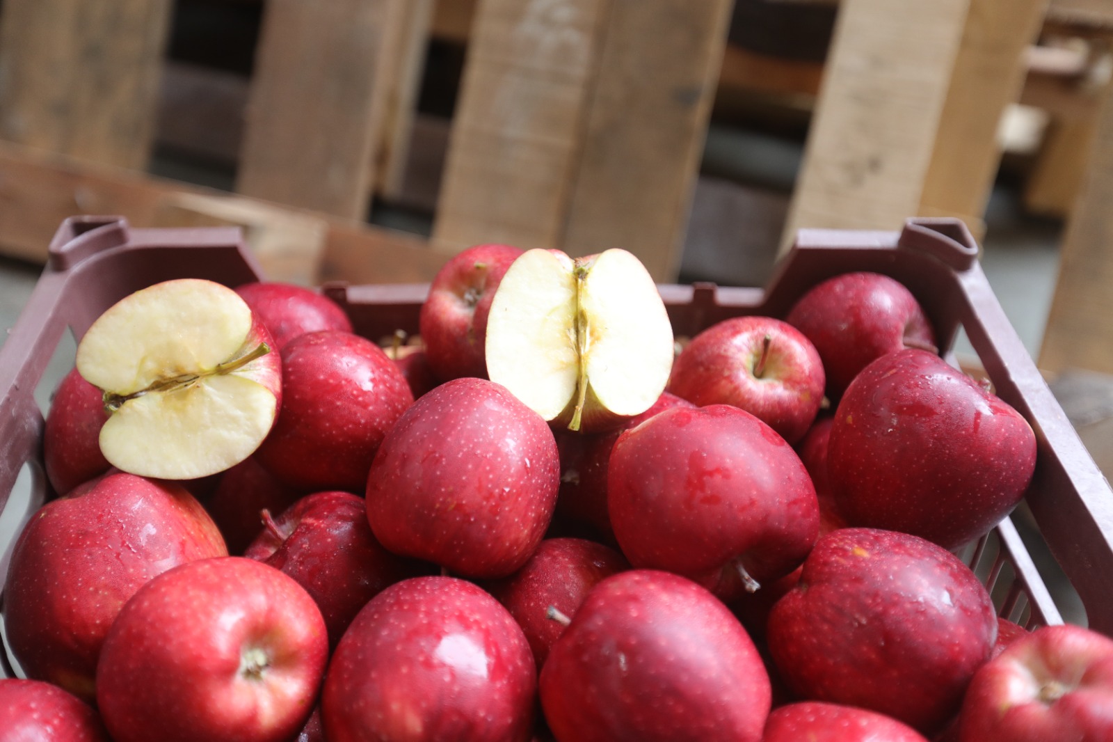 Irayan Apples - Packaging